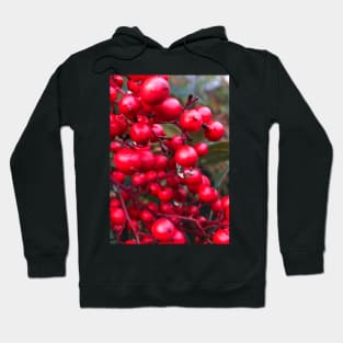 Red Christmas Berries of Peace and Joy Hoodie